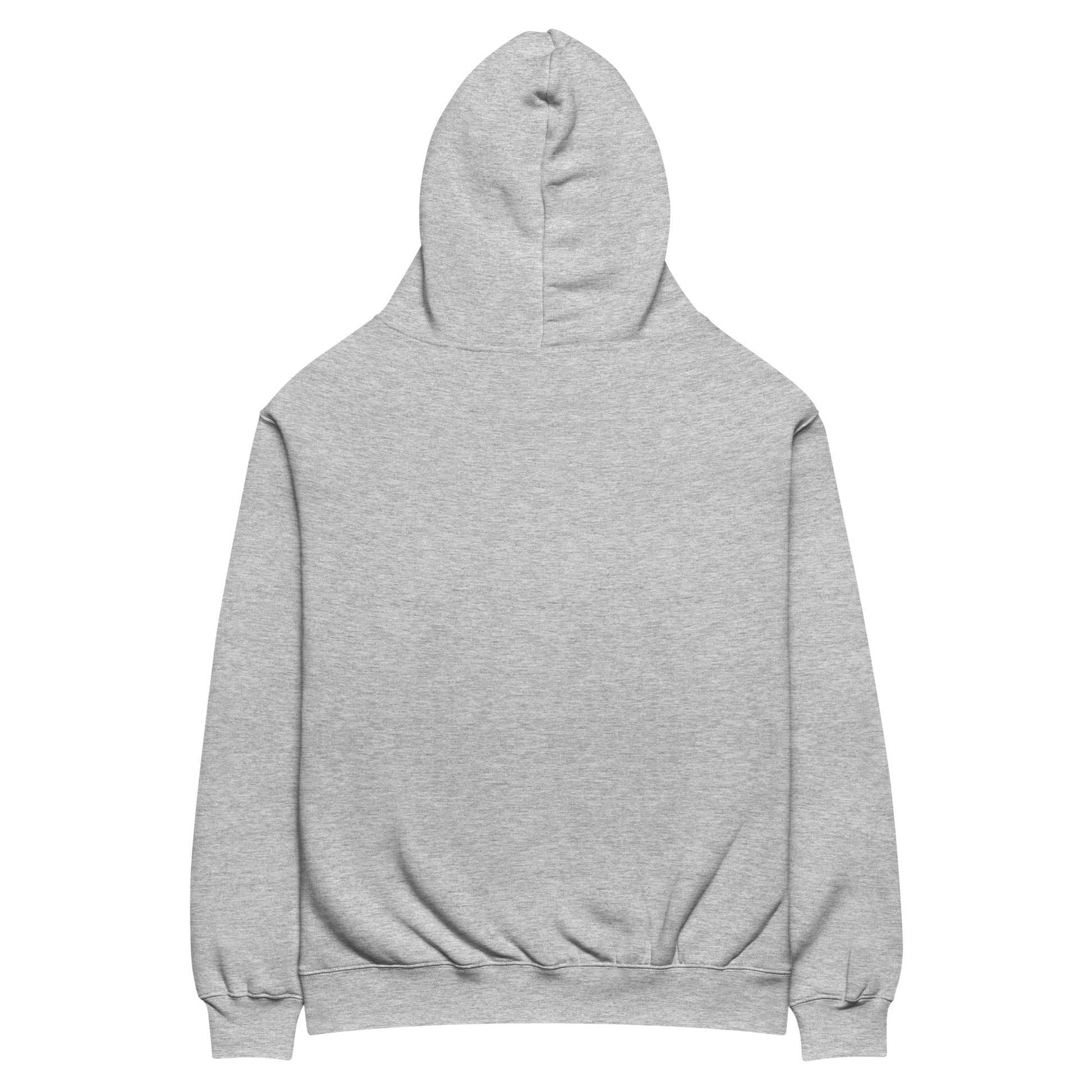 Archive Basic Hoodie heather grey back view — oversized cotton hoodie