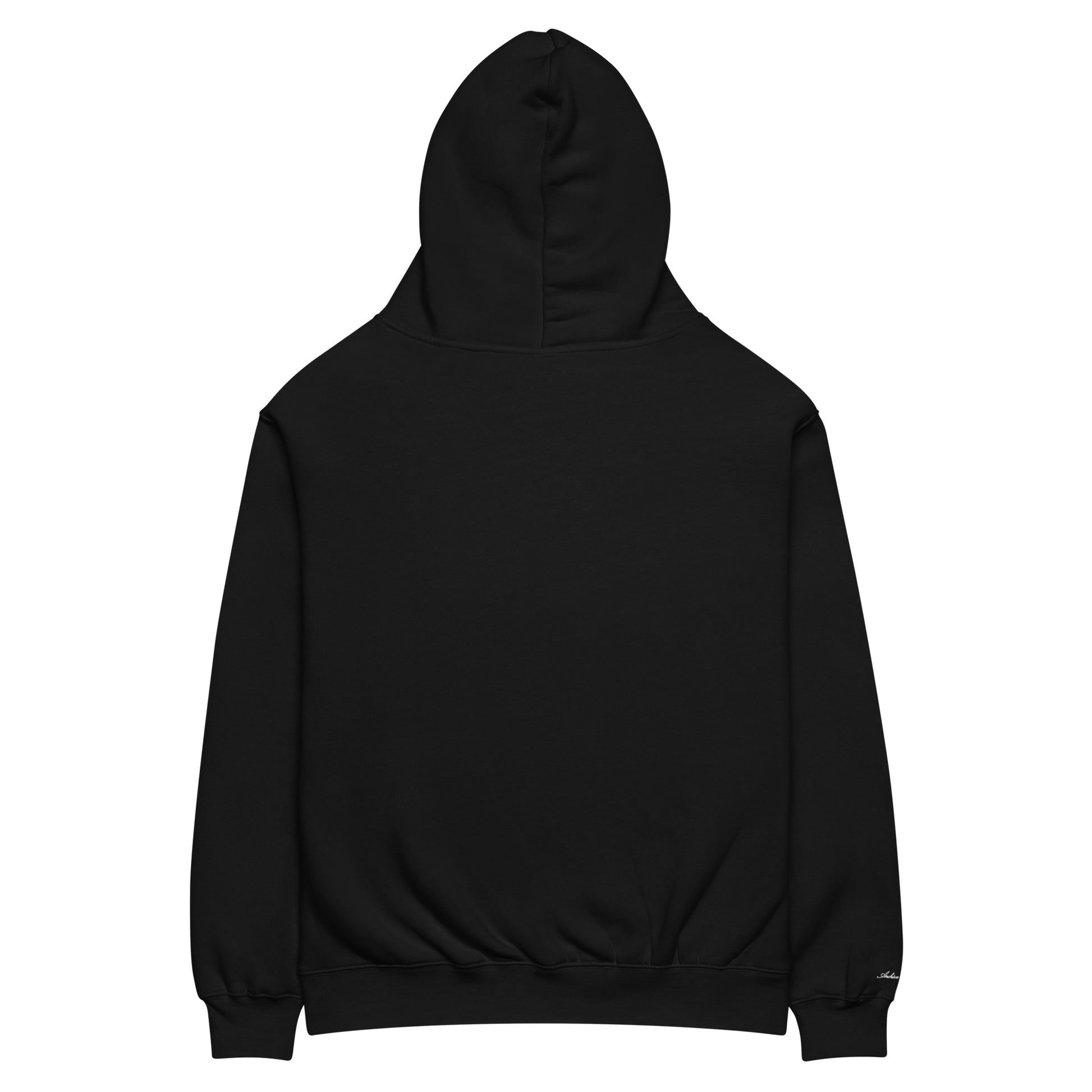 Archive Basic Hoodie black back view — oversized cotton hoodie