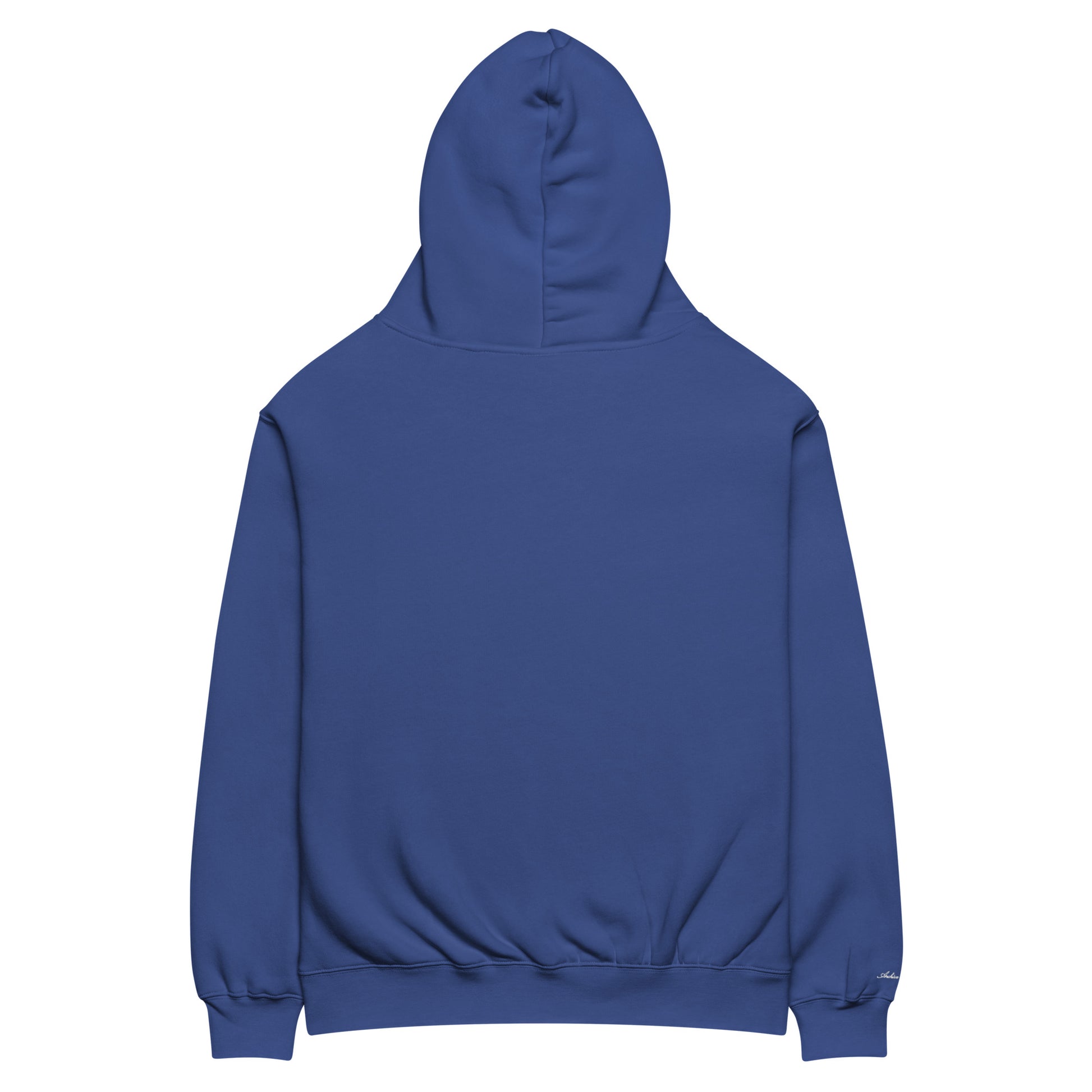 Archive Basic Hoodie cobalt blue back view — oversized cotton hoodie