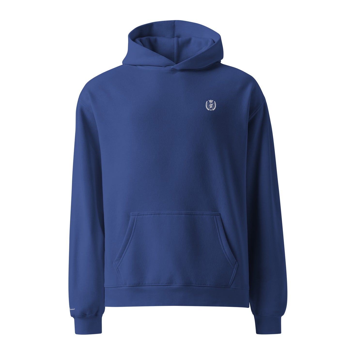 Archive Basic Hoodie cobalt blue front view — oversized cotton hoodie